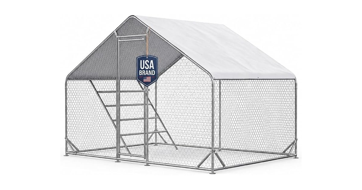 Metal Walk-in Chicken Run with Cover, 9.8 x 6.5 ft product image